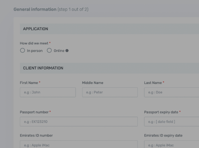 demo kyc application